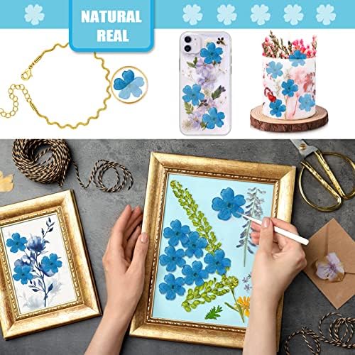 Blue Dried Cherry Blossom Flowers for Resin Decor 60PCS