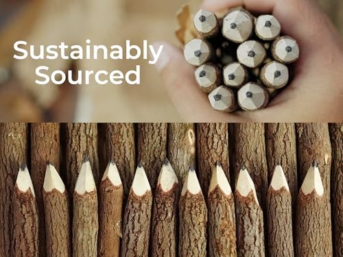 BSIRI Natural Wood Graphite Twig Pencils Set of 12