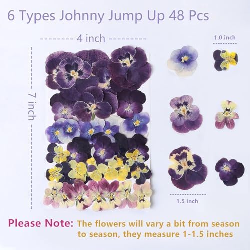 48 Pcs Mix Natural Dried Johnny Jump Up Flowers for Crafts