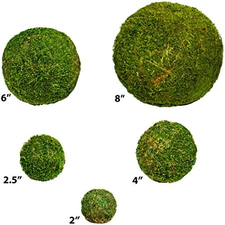 SuperMoss 4 Inch Fresh Green Moss Ball for Crafts