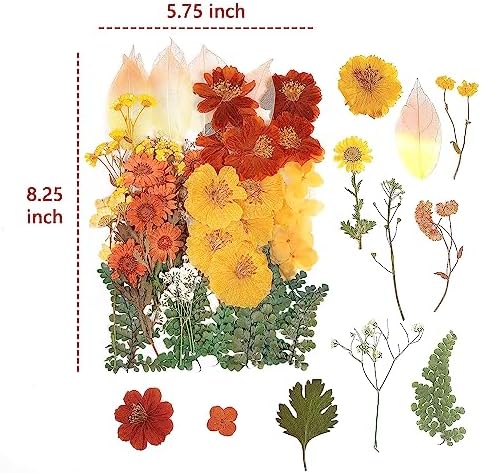 AHTONG 100 PCS Real Dried Flowers Leaves Natural Plant Herbarium - Fall Yellow Orange