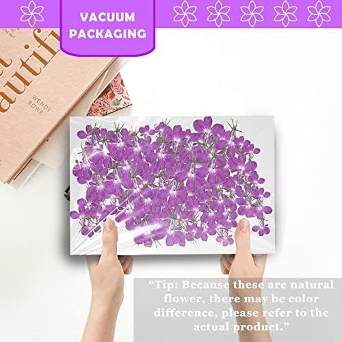 Purple Dried Flowers for Resin Crafts 60PCS