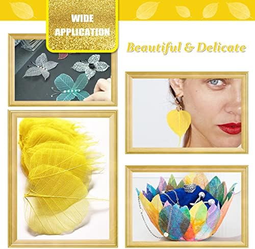 Natural Skeleton Leaves Vein for Resin Craft 42PCS