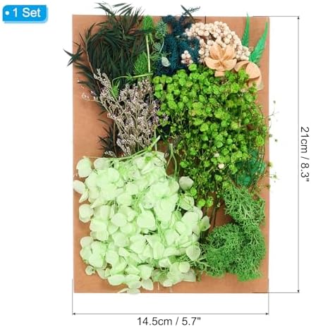 PATIKIL Dried Flowers for Crafting and DIY Projects