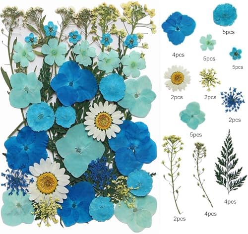 40 Pcs Dried Pressed Flowers Resin Art Craft Decor