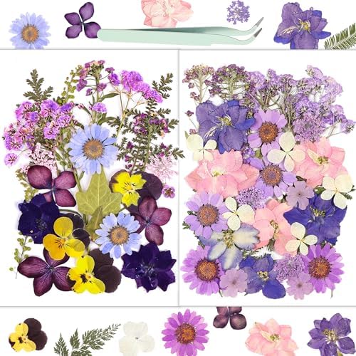 58 Pcs Dried Flowers Pressed Flowers Craft Kit