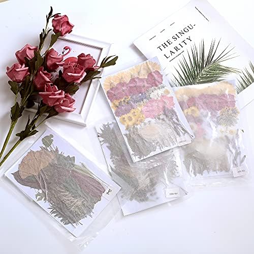 100 PCS Real Dried Greenery Leaves for DIY Resin Jewelry Craft