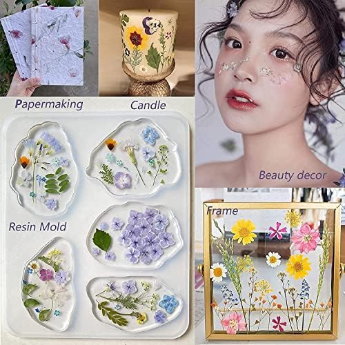 100 PCS Real Dried Pressed Flowers Leaves for Resin Jewelry Crafting - Purple