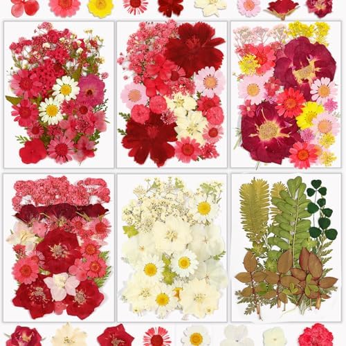 Resiners Cherry Dried Flowers 174pcs Craft Kit