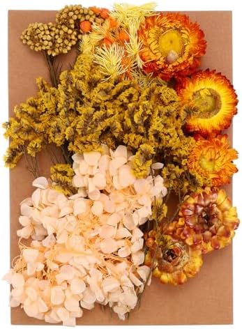 PATIKIL Orange Pressed Flowers for Resin Crafts and DIY Projects