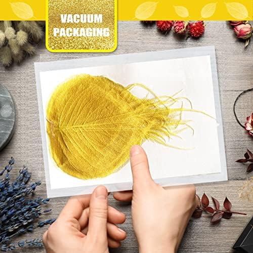 Natural Skeleton Leaves Vein for Resin Craft 42PCS