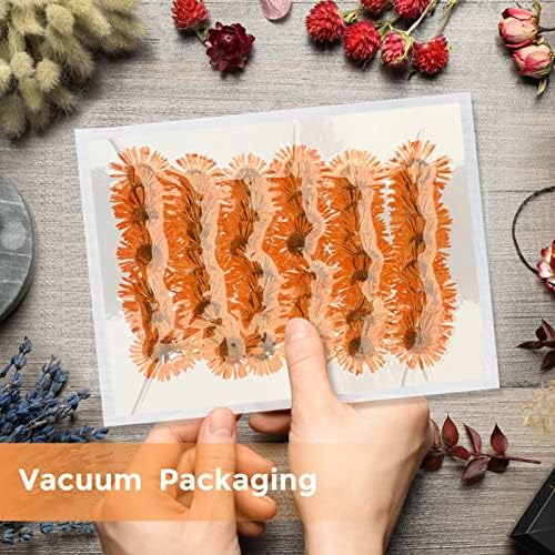 60PCS Dried Chrysanthemum Flowers for Resin Crafts