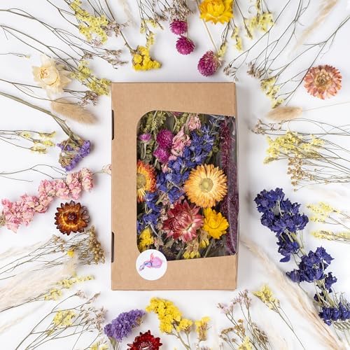 Premium Dried Flowers for Crafts in Eco Paper Box