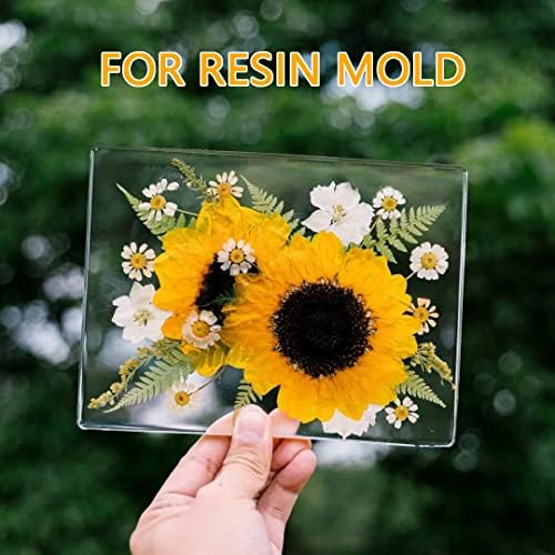 Yellow Sunflowers Big Dried Flowers for Resin Mold Craft