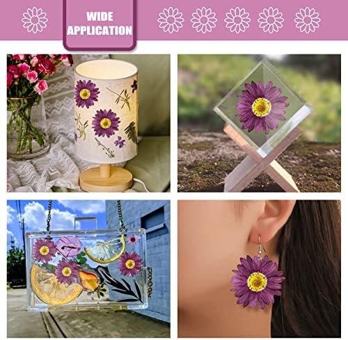 Purple Dried Sunflowers Margarita Daisies for Resin Crafts 60PCS