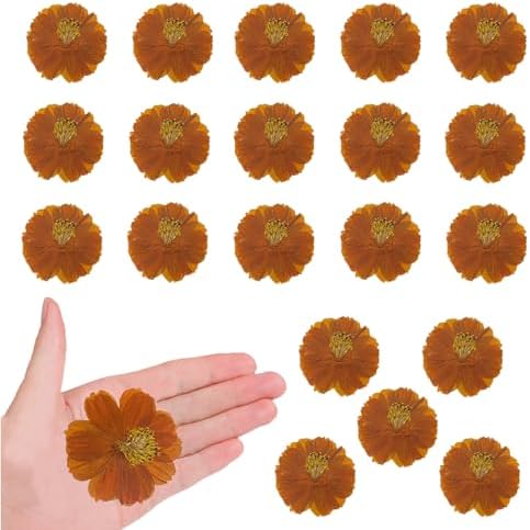 60PCS Dried Orange Cosmos Flowers for Resin Crafts