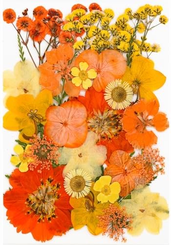 30Pcs Dried Pressed Flowers for Resin Art Crafts