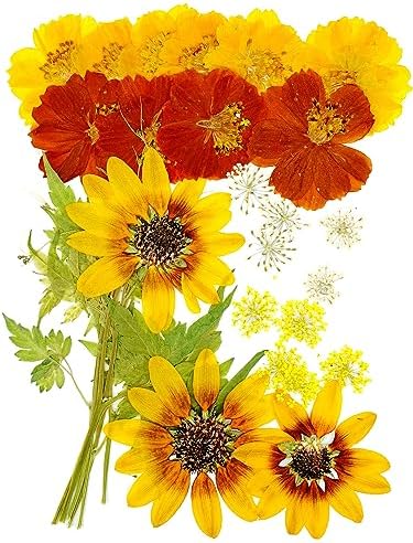 Yellow Sunflowers Big Dried Flowers for Resin Mold Craft