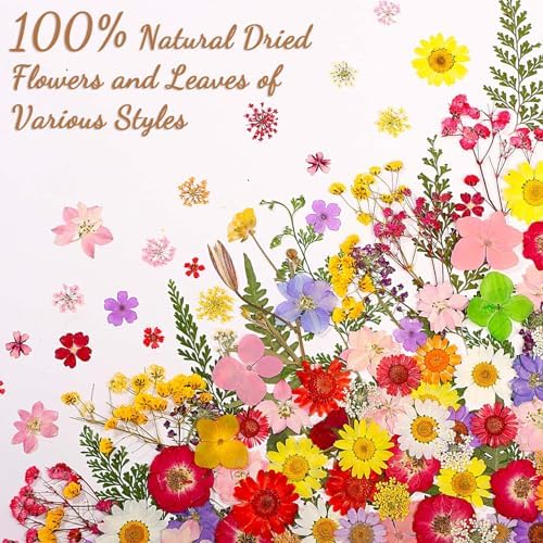 160 Pcs Dried Flowers Pressed Real Flowers for Resin Crafts