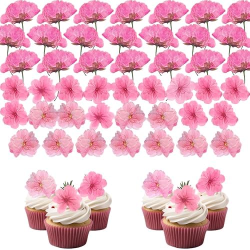 48 Pcs Pink Cherry Blossom Dried Pressed Flowers for Crafts