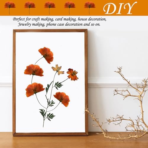 HEISENLIN Orange Dried Cosmos Flowers 42PCS for Resin Jewelry DIY Crafts
