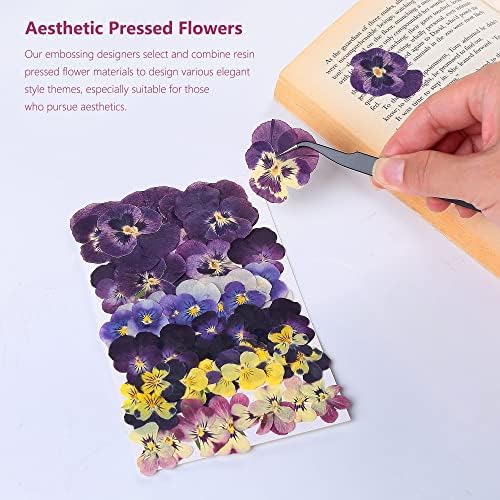 48 Pcs Mix Natural Dried Johnny Jump Up Flowers for Crafts