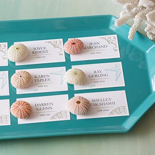 Avery Clean Edge Business Cards 2x35 White 90 Blank