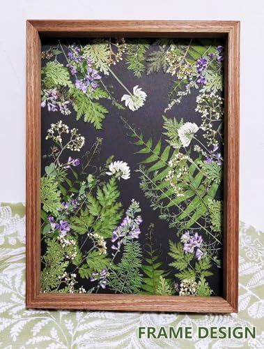 AHTONG 48PCS Natural Pressed Fern Leaves for Crafts and Resin Molds