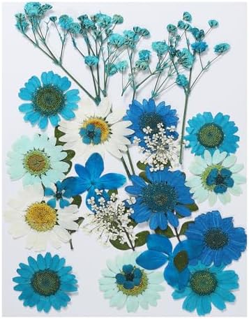 PATIKIL Dried Pressed Flowers Blue Series Art Craft Set