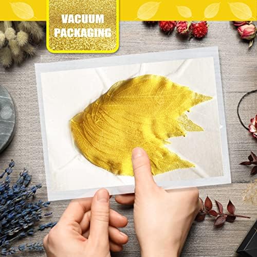 Natural Skeleton Leaf Veins for Resin Art 42PCS