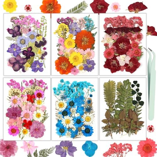 174 Pcs Dried Flowers Pressed for Craft Projects