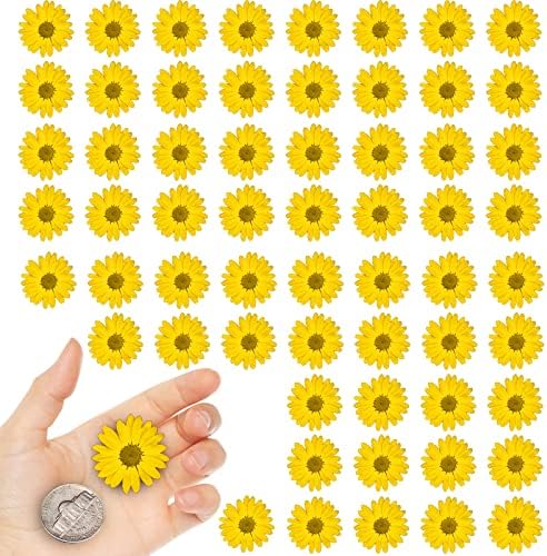 Yellow Dried Flowers Little Daisy for Resin Crafts 60PCS