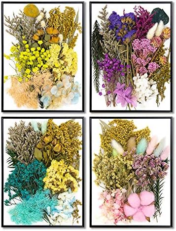 Vignee Real Dried Pressed Flower Daisies for Resin Jewelry Craft DIY