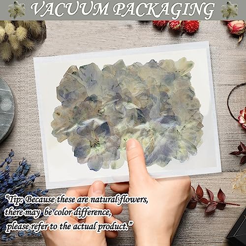 HEISENLIN White Pressed Larkspur Resin Embellishments 60PCS