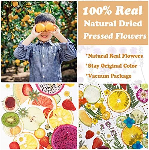 Pressed Dried Flowers Fruits Resin Molds 75 Pieces Assorted