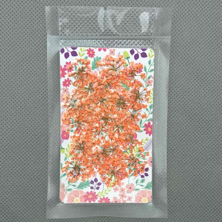 72 pcs 3D Dried Flowers for Nail Art and Resin