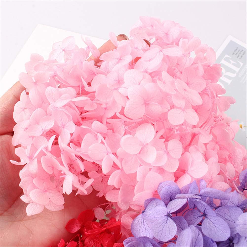 Natural Dried Flowers Hydrangea Pressed Scrapbooking Embellishments Dark Pink