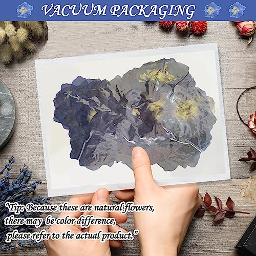 Blue Dried Larkspur Flowers 60PCS for Resin Craft Decor