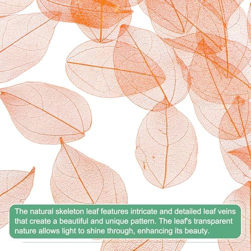M Meterxity 100-Pack Skeleton Leaves Orange