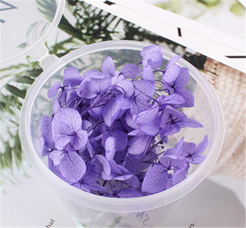 Natural Dried Hydrangea Flowers Purple DIY Craft Decor