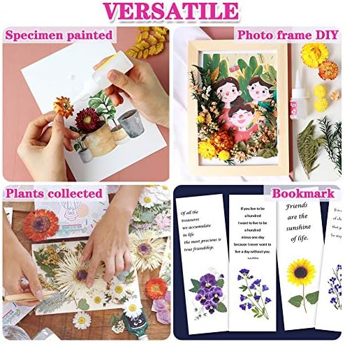 Vignee Real Dried Pressed Flower Daisies for Resin Jewelry Craft DIY