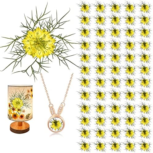 60PCS Yellow Pressed Flowers for Resin Crafts
