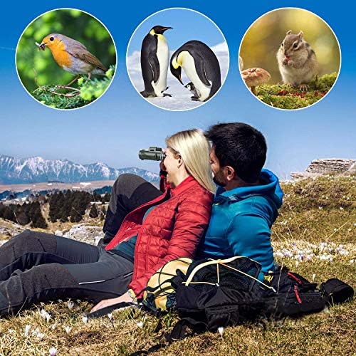 40X60 Monocular Telescope with Phone Adapter and Tripod
