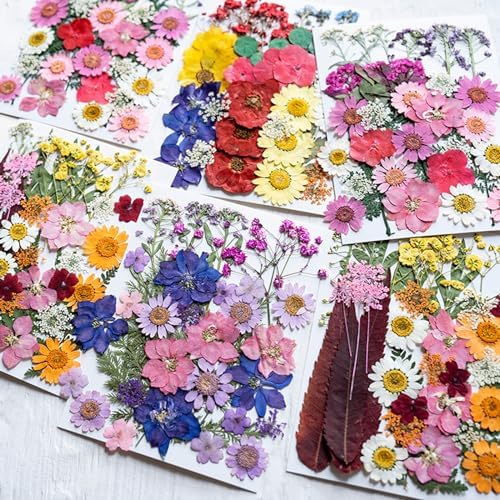 35Pcs Dried Pressed Flowers for Resin DIY Art Crafts
