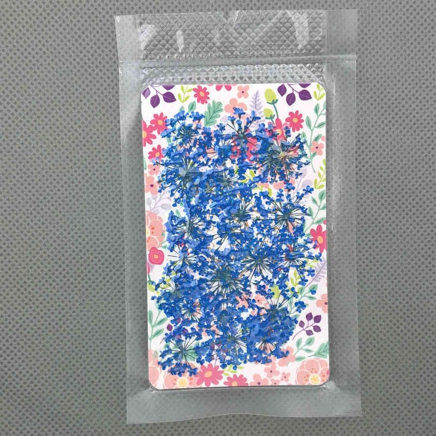 72 Pcs Blue Dried Flowers for Nail Art Resin Decals