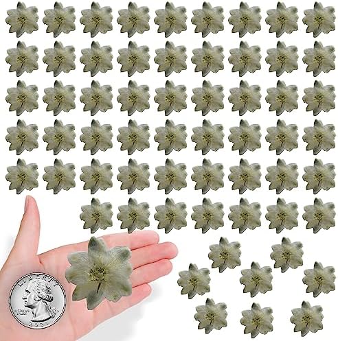 HEISENLIN White Pressed Larkspur Resin Embellishments 60PCS