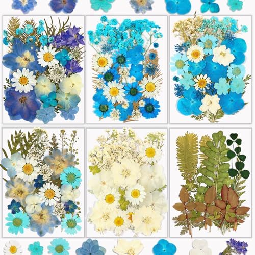 174 Pcs Dried Flowers Pressed for Crafts