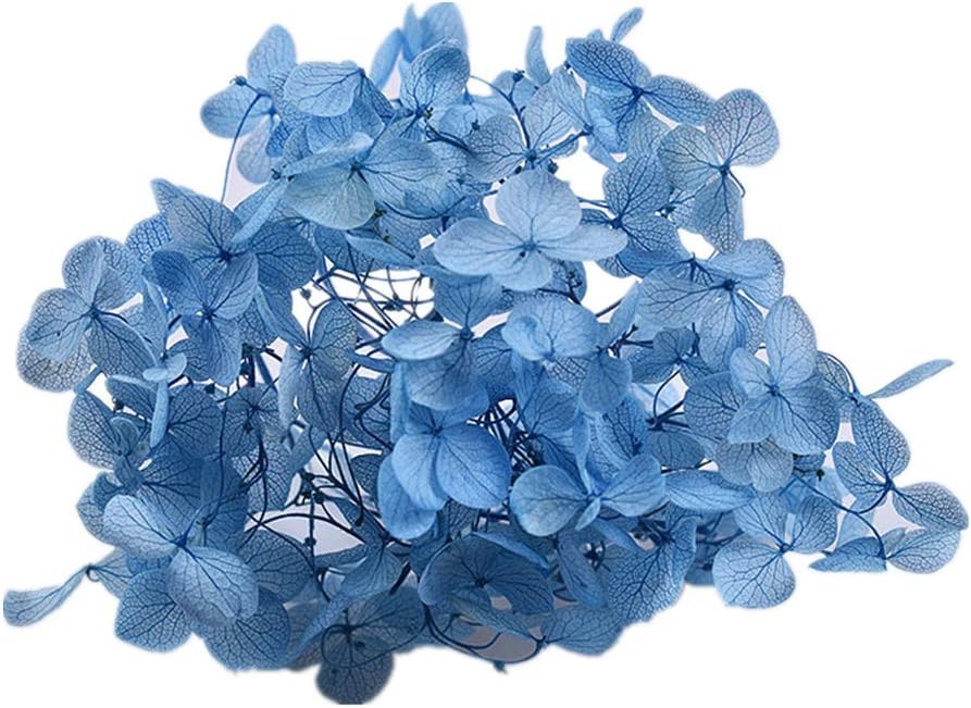 Ximkee Natural Dried Flowers Hydrangea Pressed Scrapbooking Embellishments Sky Blue