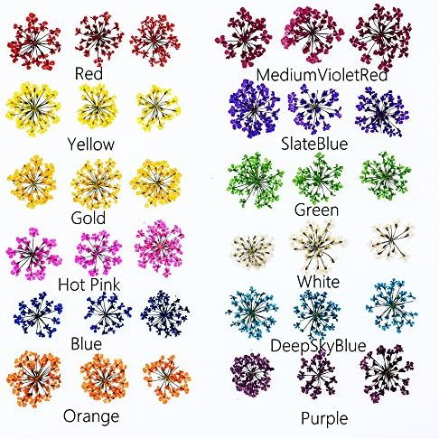 72 pcs 3D Dried Flowers for Nail Art and Resin