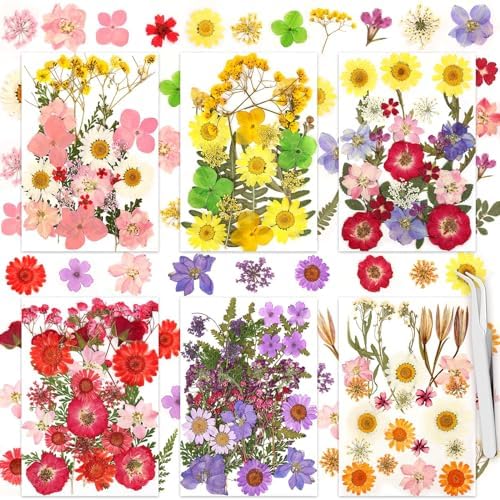 160 Pcs Dried Flowers Pressed Real Flowers for Resin Crafts